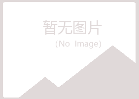 屏山县忆山水泥有限公司